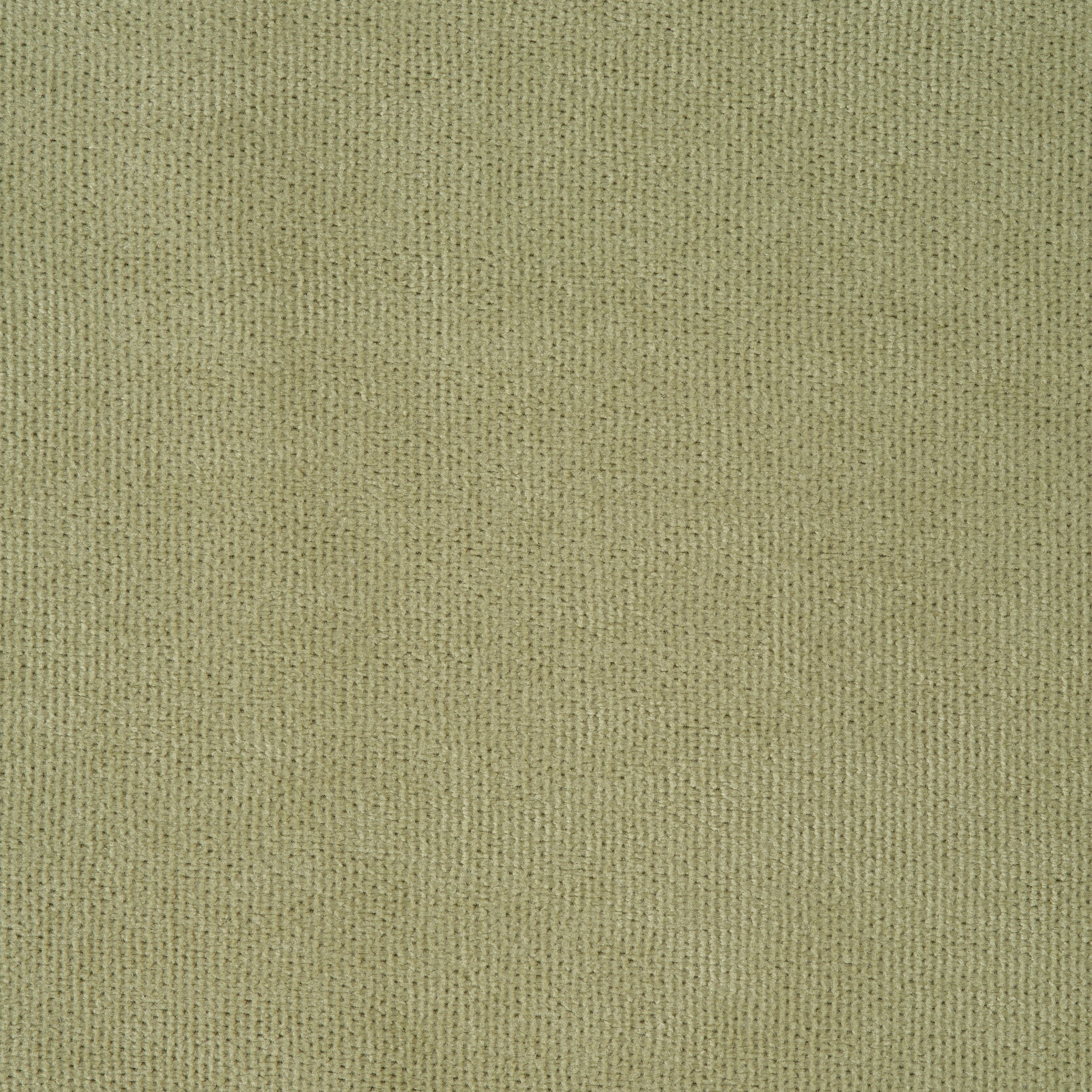 Finch Velvet Curtains