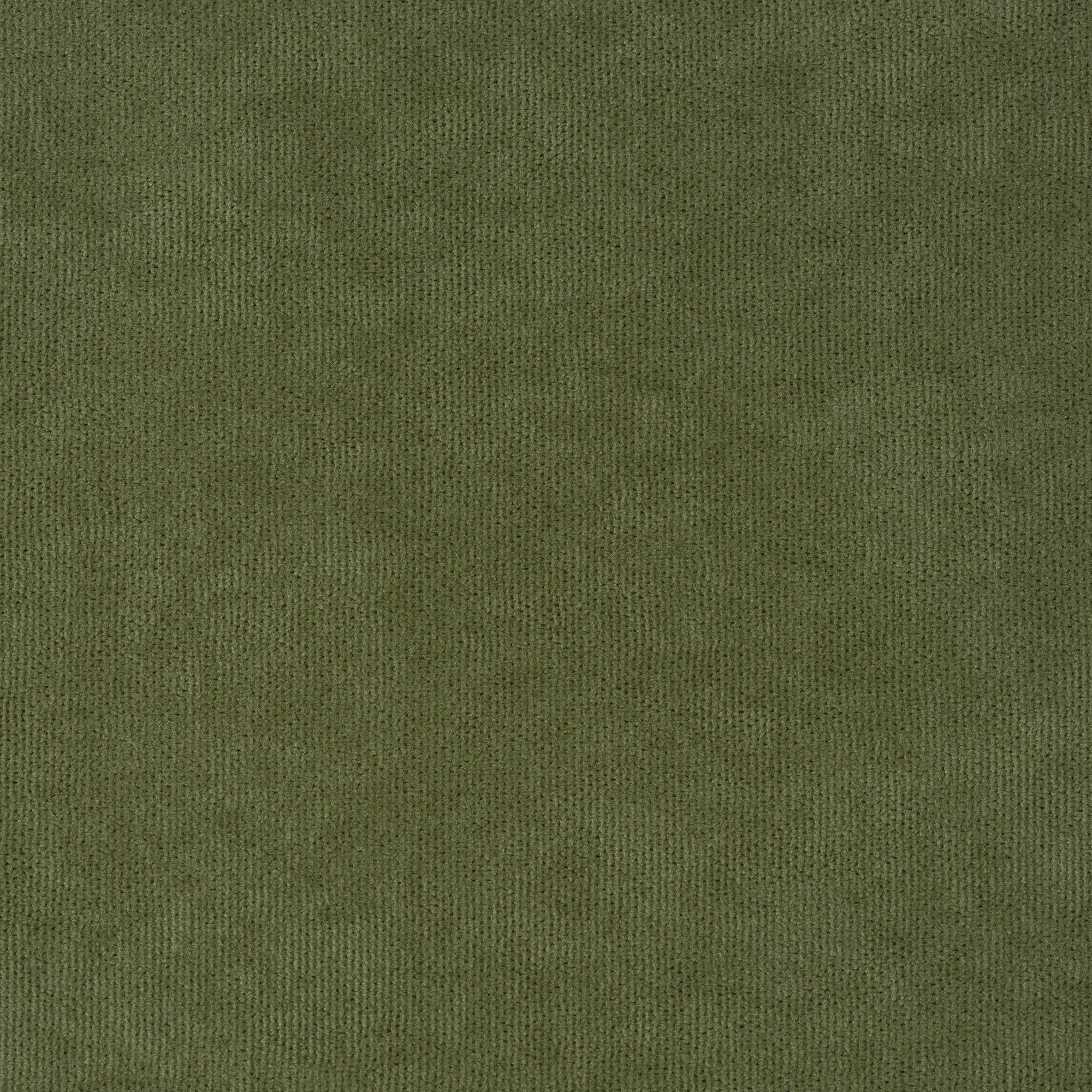 Woodland Velvet Curtains
