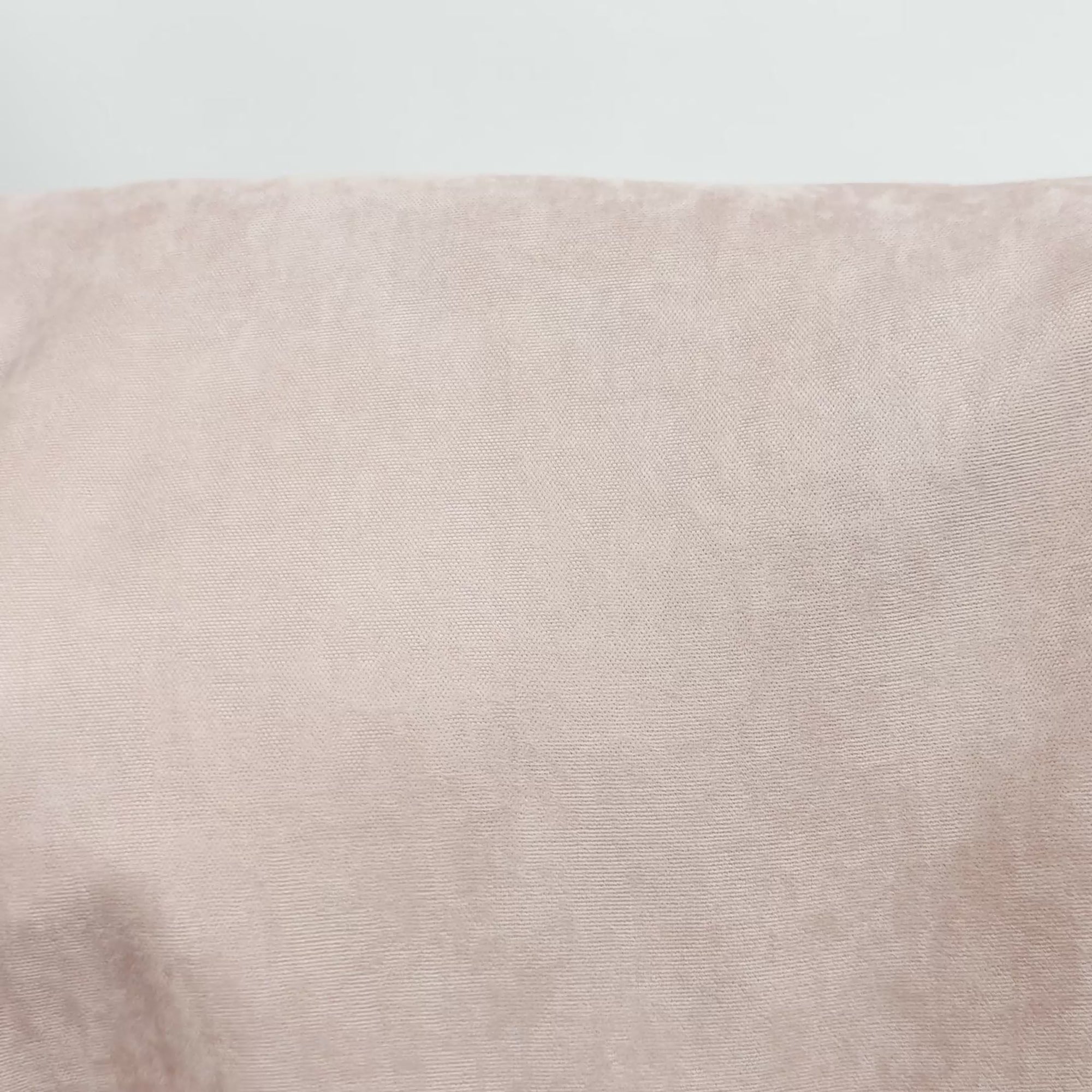 Nude Velvet Curtain